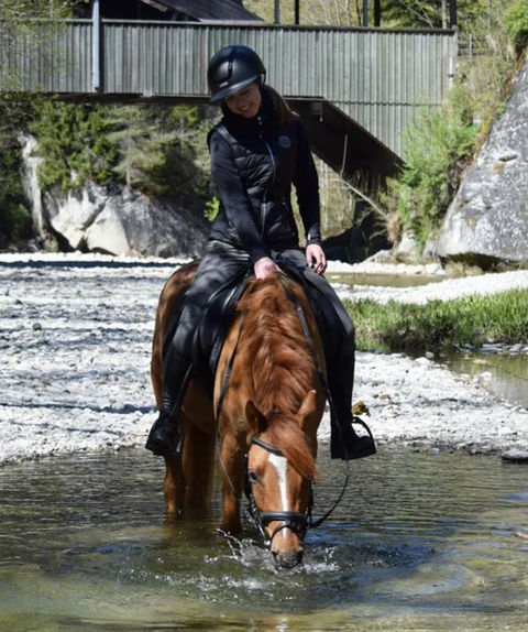 Darino von der Boerde