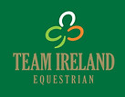 TI shamrock pantone.jpg
