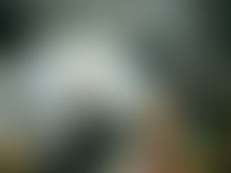 Компания Disney в России и киношкола «Без Границ» объявляют о сотрудничестве.