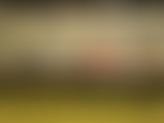 Governo Federal, Consórcio da Amazônia Legal e Nações Unidas apresentam Fundo Brasil-ONU