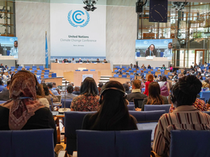 Com olhar para Belém, Consórcio Amazônia Legal participa da Conferência de Bonn