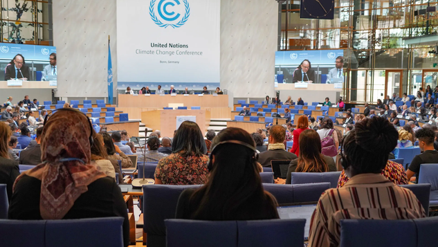 Com olhar para Belém, Consórcio Amazônia Legal participa da Conferência de Bonn