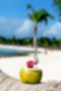 coconut-with-drinking-straw-palm-tree-beach.jpg