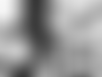 Managing Money During a Job Loss or Income Drop