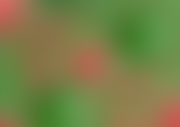 Know Your Food Plate: Watermelon Seeds