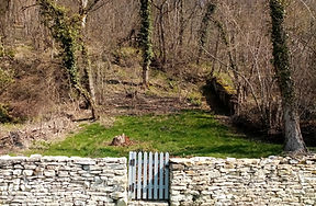 Le jardin.jpg