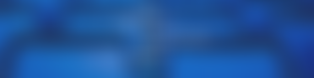 THE SUMMER I GENERATED LEADS