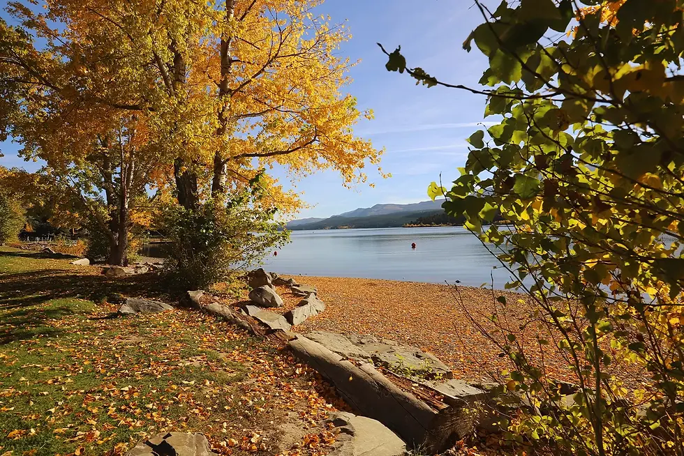 kinsmen-fall-1.webp