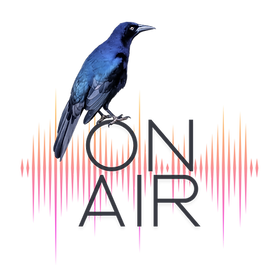 on air transparent.png