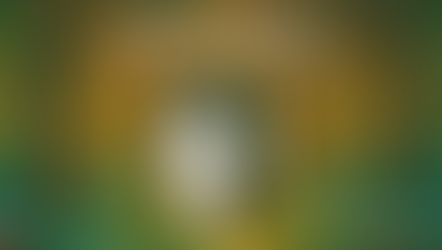 Enter Sherwood: A New Holiday Musical Adventure Awaits at the Rose Center Theater