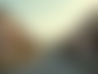 Oportunidades de Inversión: Conexiones Clave para Familias