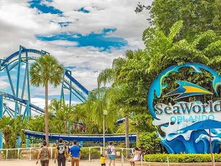 Central Florida Vacation Alternative