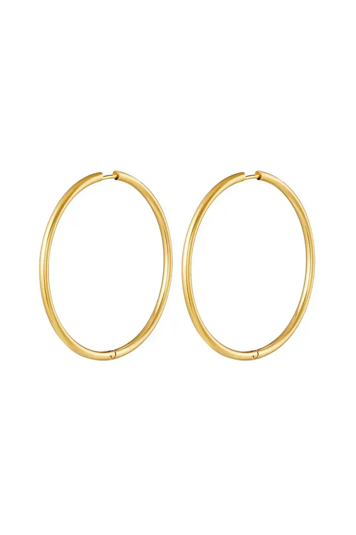 RVS oorbellen hoops groot Goud Stainless Steel