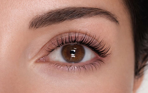 Close-up of lifted and curled eyelashes after a Korean lash lift