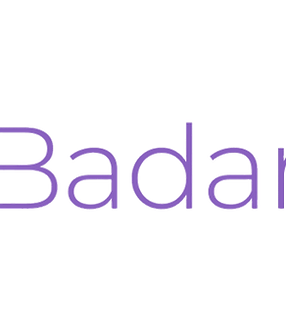BADANTES LOGO (no background).png