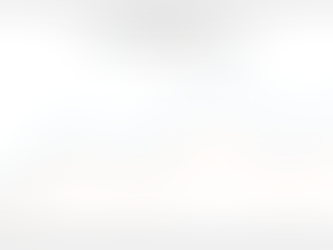 Case Study: Essential Search Optimization Services
