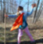 Walking through woods.jpg