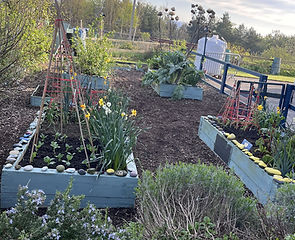 Garden 1.jpg