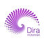 Logo Dira Romania