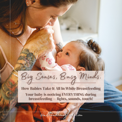 Big Senses, Busy Minds