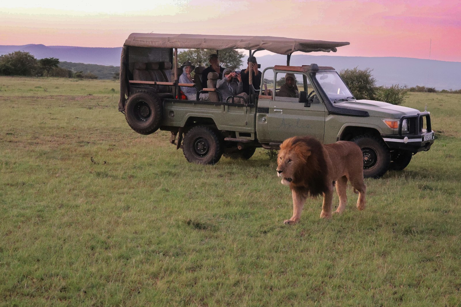 Professional & Group Travel travel inspiration