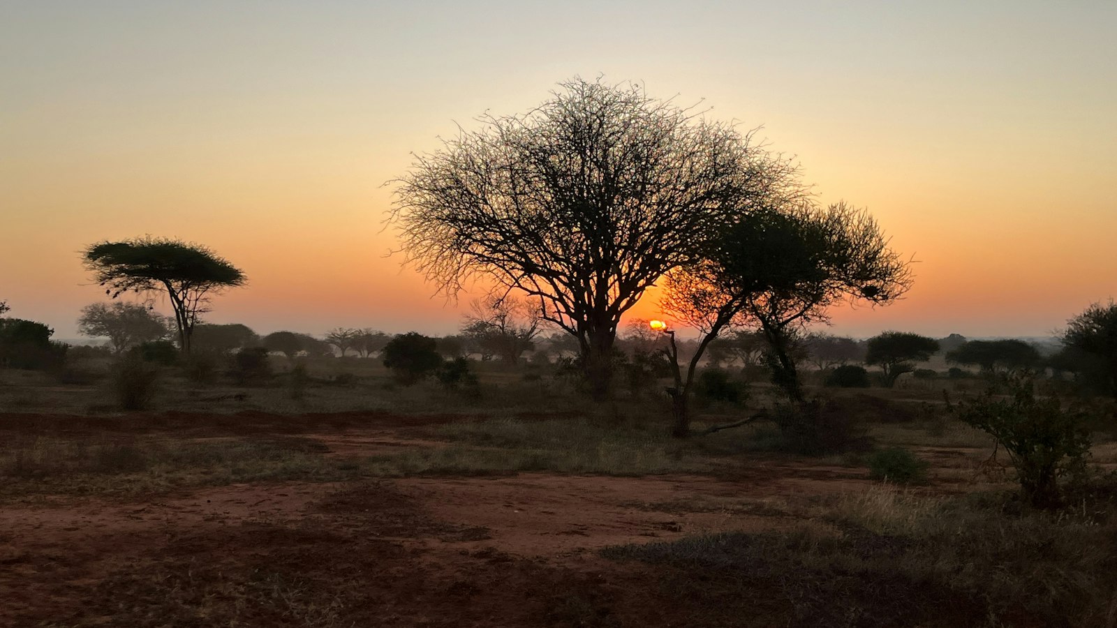 African Wildlands & Trails travel inspiration