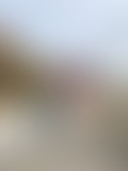 Meet Our 2025 Fall Interns!