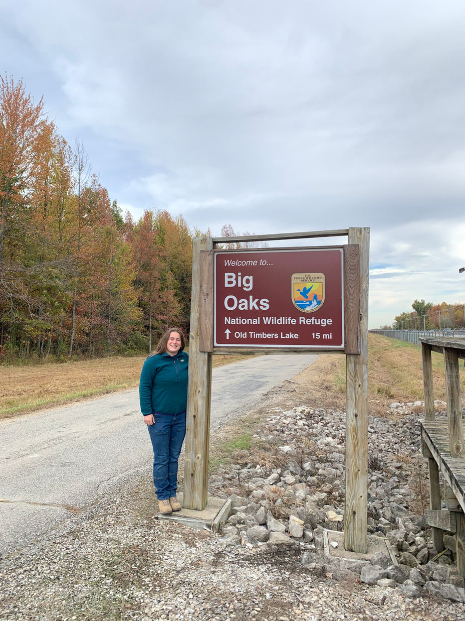 Meet Our 2025 Fall Interns!