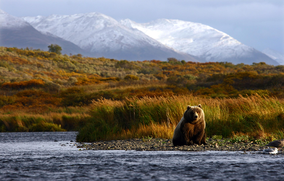 Kodiak National Wildlife Refuge in Alaska.
