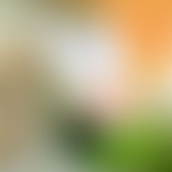 GANDHISM- Then and Now