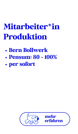 Bern_Stelleninserate_Vorschau (Deine Geschichte) (45).png