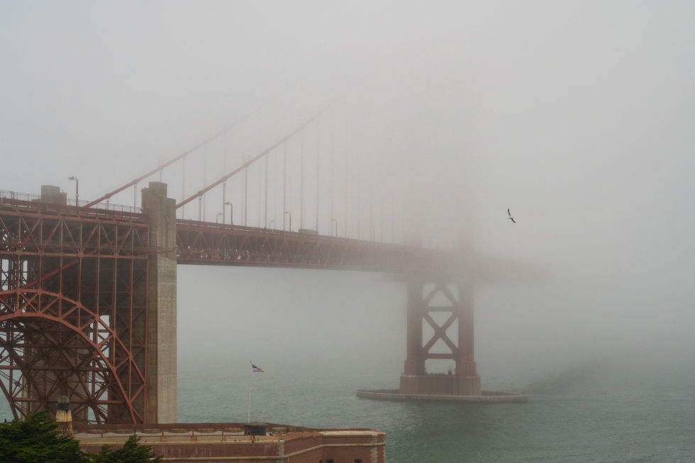 20250816-LNM_7063 site