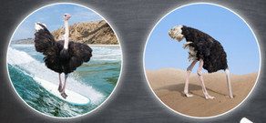 Do Your Best Thinking in 2021