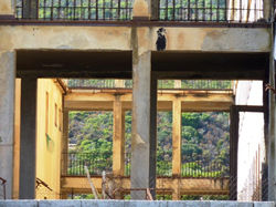 2_albergo.jpg