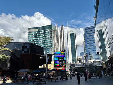 IMG_1339.jpeg