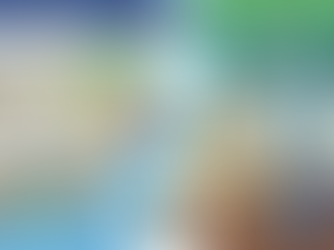 The "New NPO" Mirage: Why the Numbers are Lying to Us