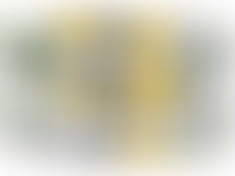 Second Line Leadership: Civil Society