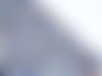 DSD Funding Strategy - A Plethora of Mini-Me's? DSD Funding for NPO