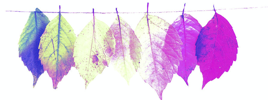 Colorful Autumn Leaves hanging on a line_edited