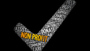 For Profit or Not For Profit