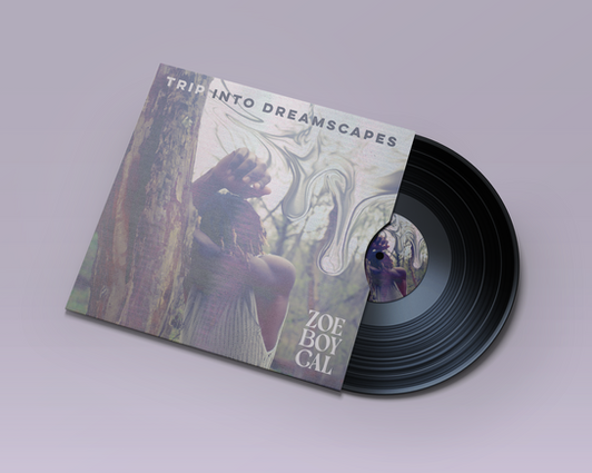 a record halfweay out of its sleeve. the sleeve is depicting a man leaning against a tree and looking down. The album is "Trip Into Dreamscapes" By artist Zoe Boy Cal.