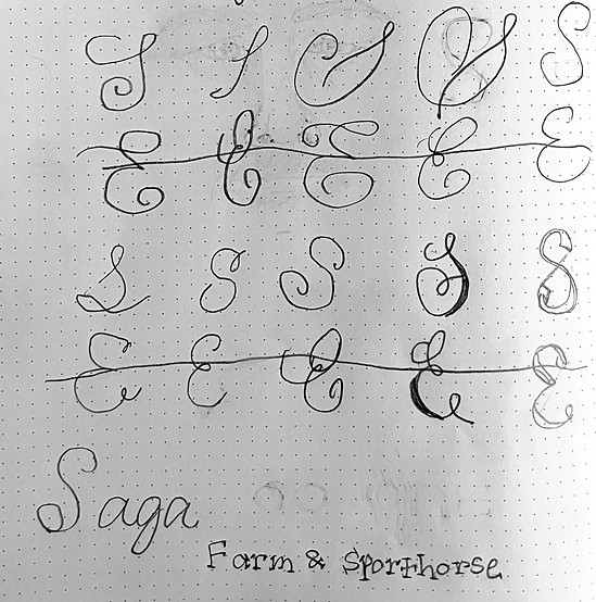 Saga Sketches__edited.jpg
