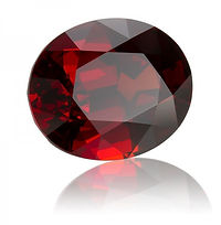 Birthstone January.jpg