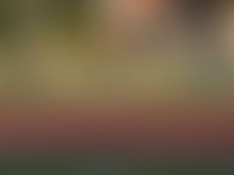 Πάει και στο Μπακού ο Θεριουδάκης