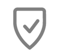 Secure Icon - Grey