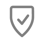 Secure Icon - Grey