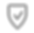 Secure Icon - Серый