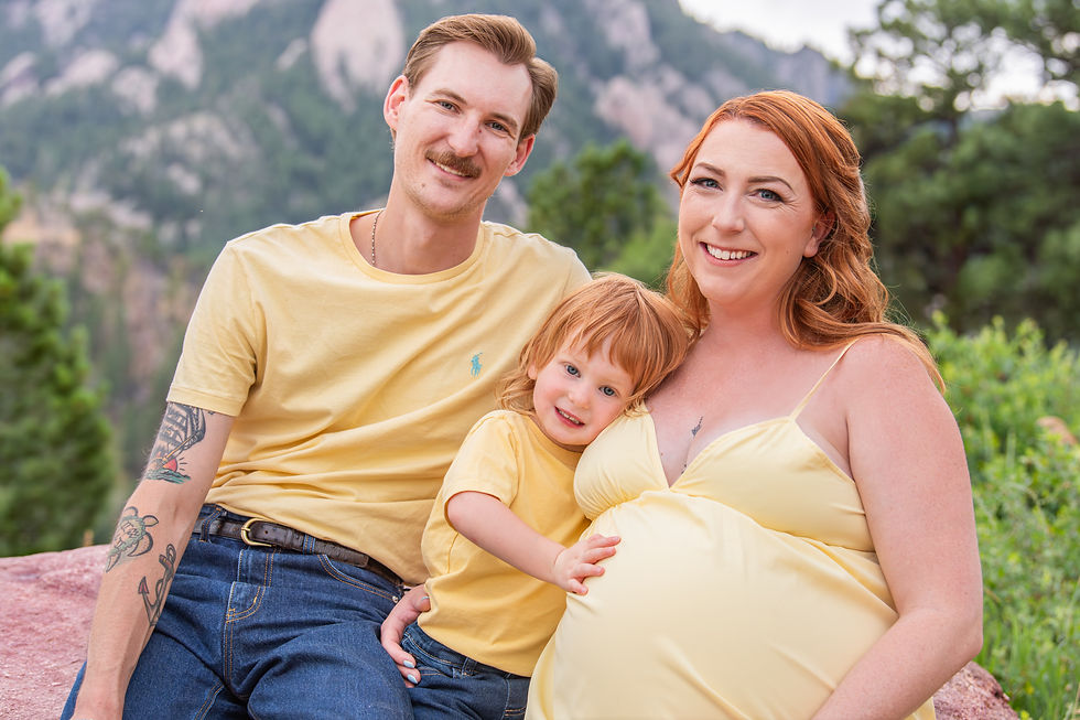 Wide angle view of lush mountain terrain with the Flatirons in background