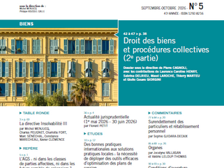 Sommaire de la Revue des procédures collectives civiles et commerciales n° 5 (LexisNexis) incluant l'article de Mounira Benhacine-Chamieh : Des bonnes pratiques internationales aux solutions pratiques locales, optimiser les plans de cession.