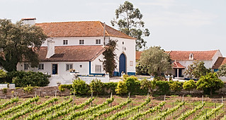Quinta da Murta.jpg